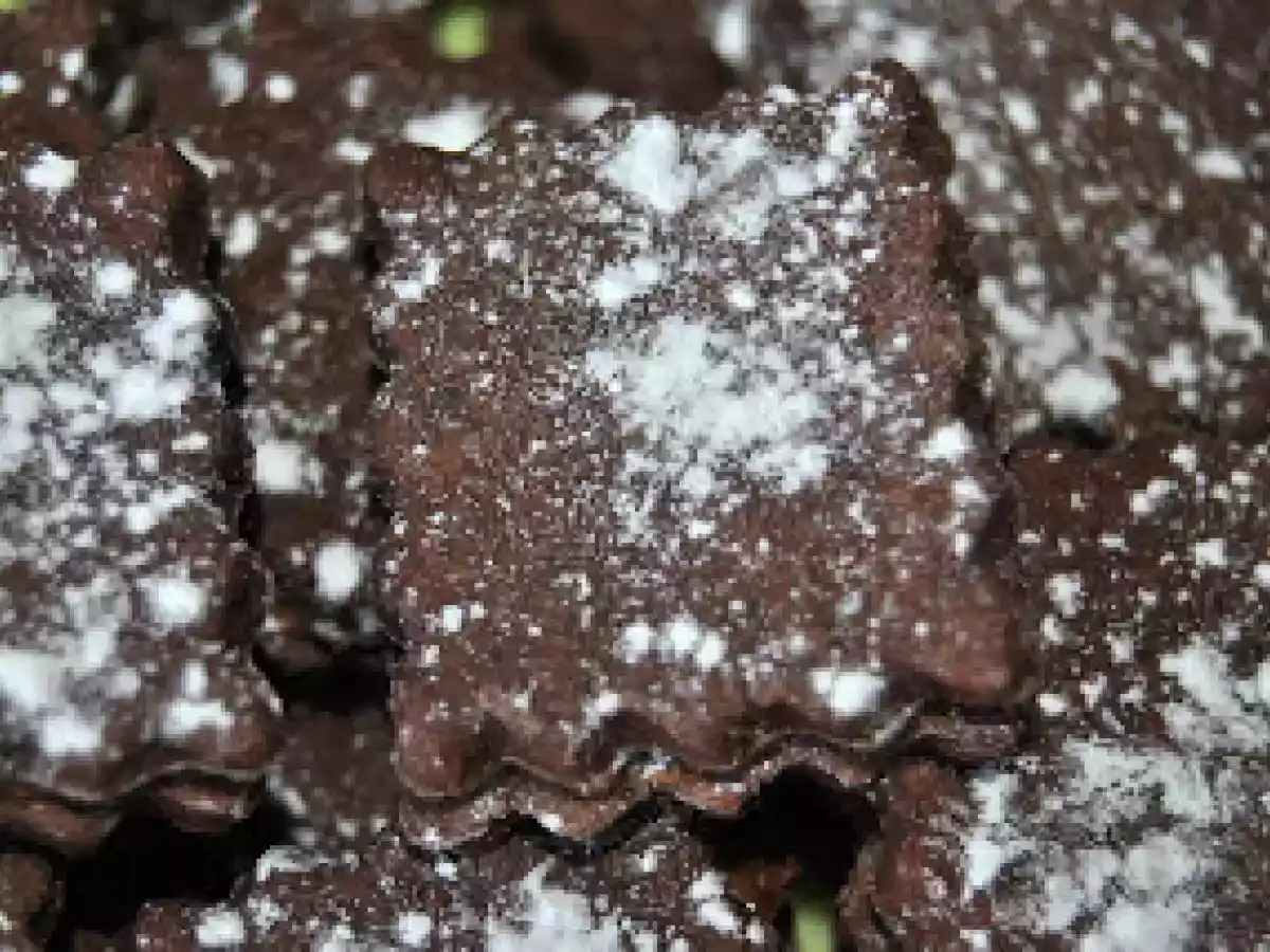 Galletas Biscuit Chocolatísimas - foto 2