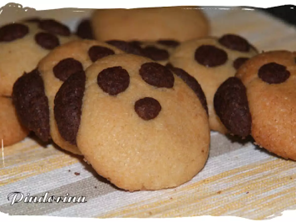 GALLETAS PERRO - foto 2