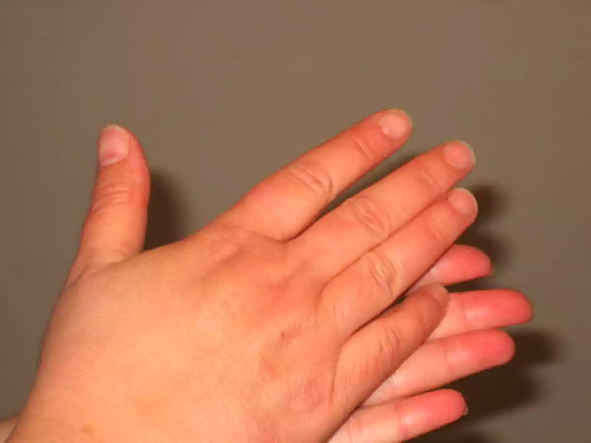 Galletitas tornado - foto 4