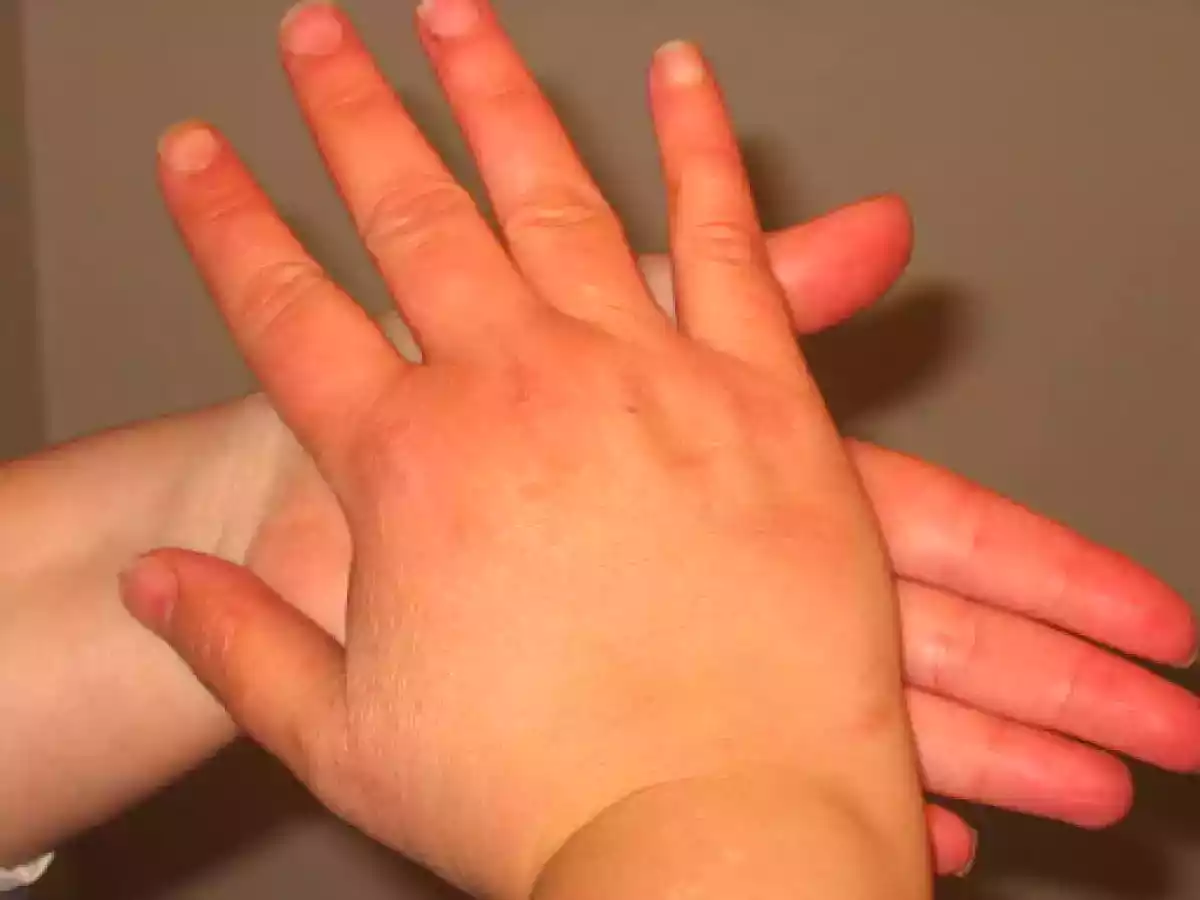 Galletitas tornado - foto 6