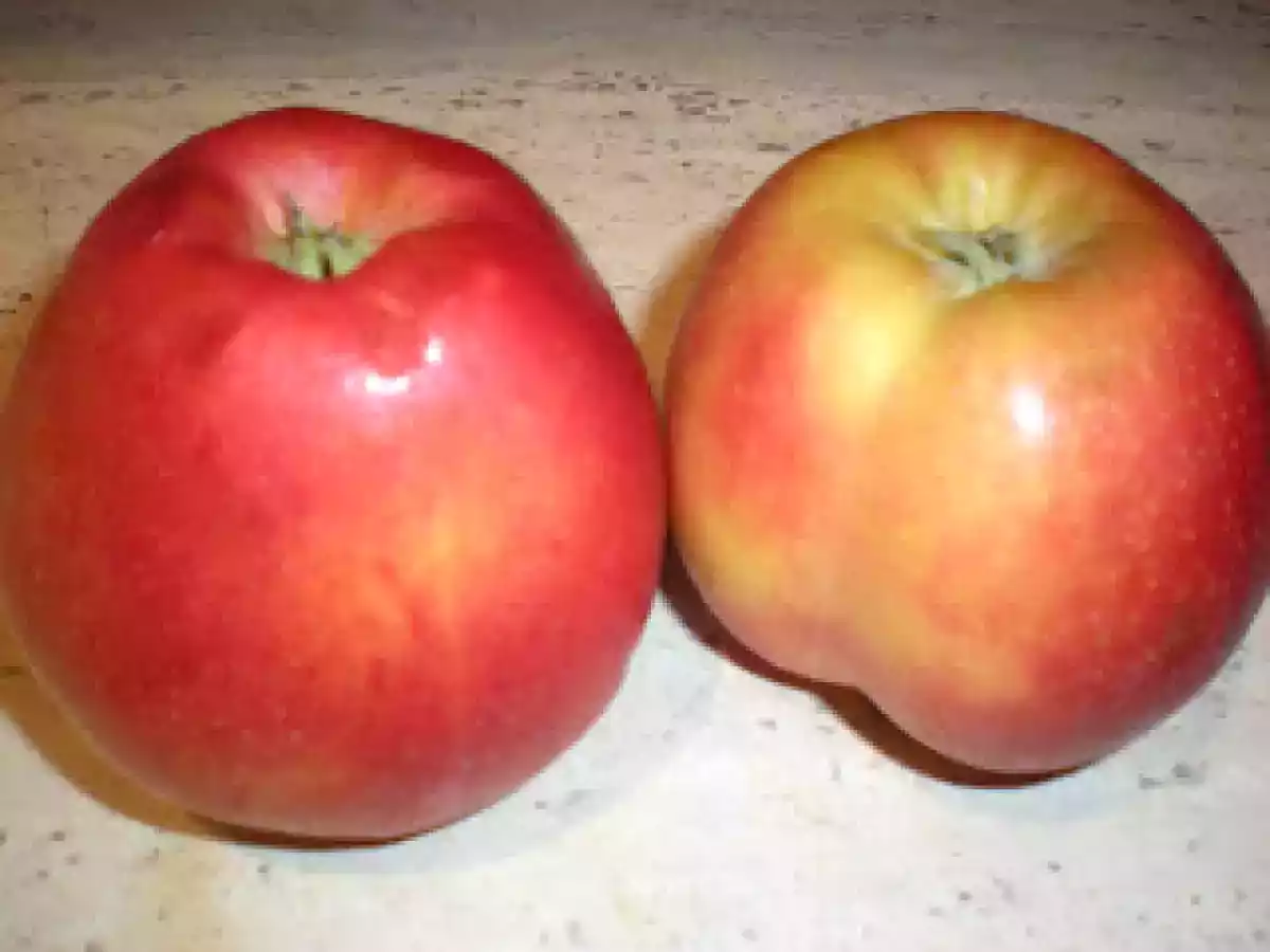 Gelatina de limón con manzanas - foto 6