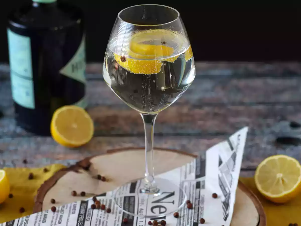 Gin Tonic, el coctel imprescindible para fiestas y reuniones entre amigos - foto 3