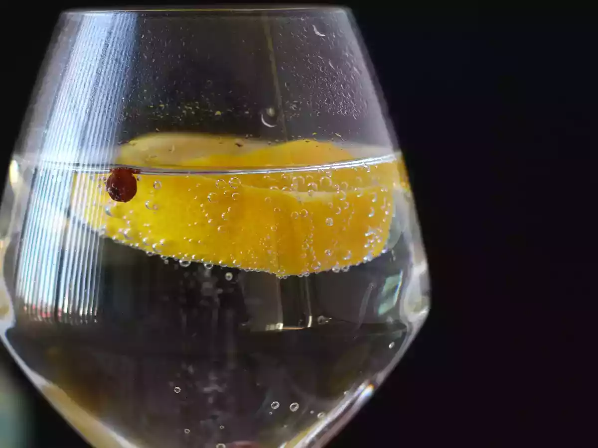 Gin Tonic, el coctel imprescindible para fiestas y reuniones entre amigos - foto 5