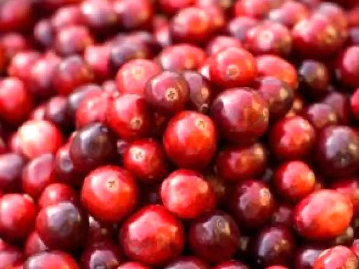 Glaseado de Arándanos