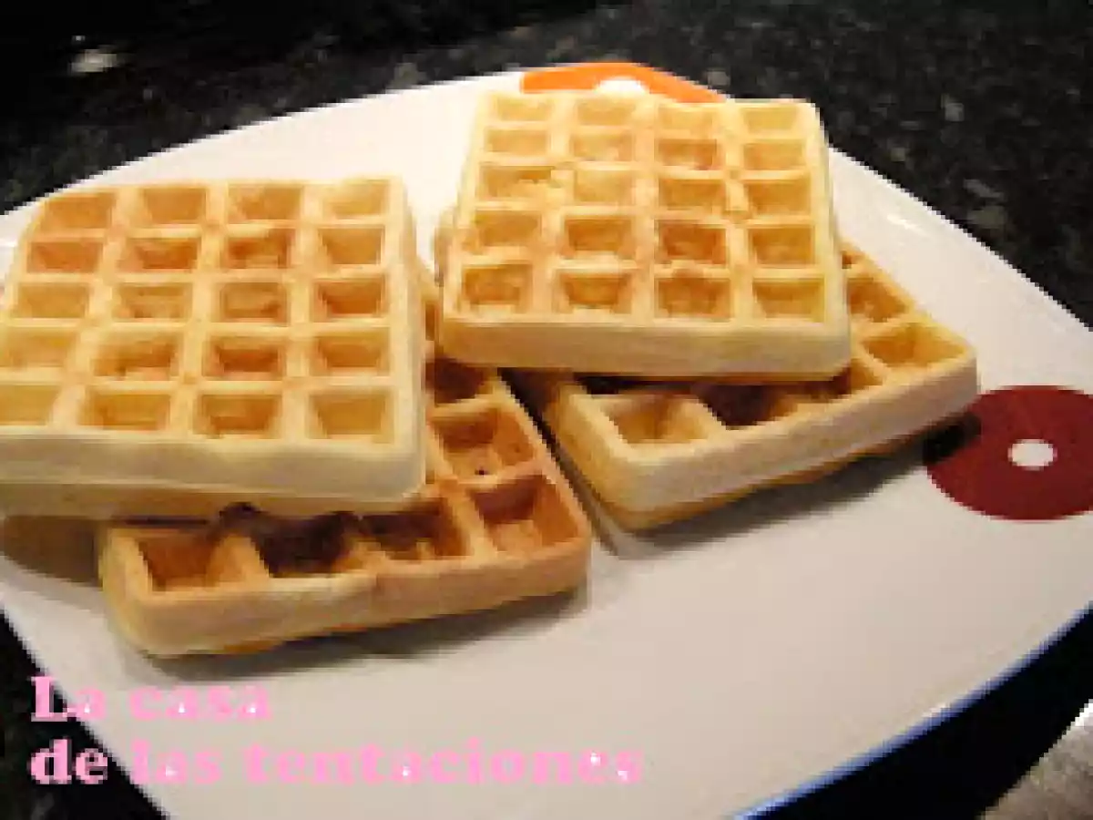 Gofres basicos - foto 2