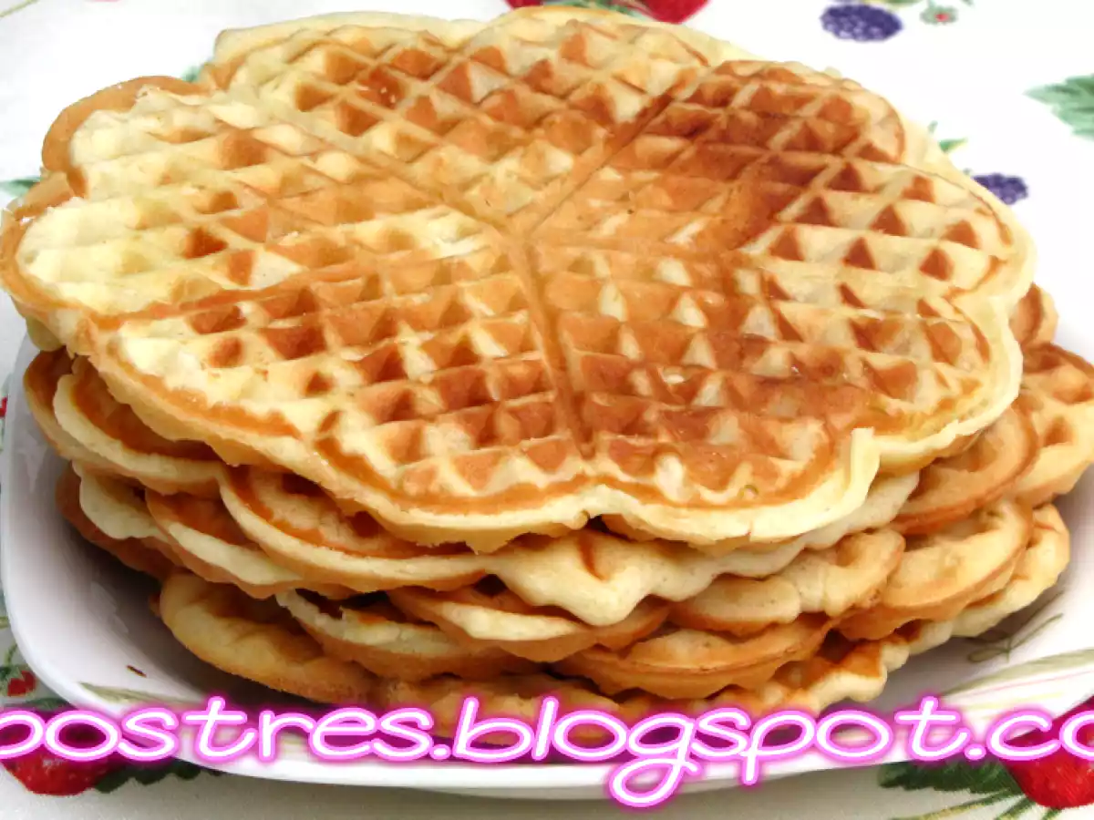 Gofres ricos ricos - foto 2