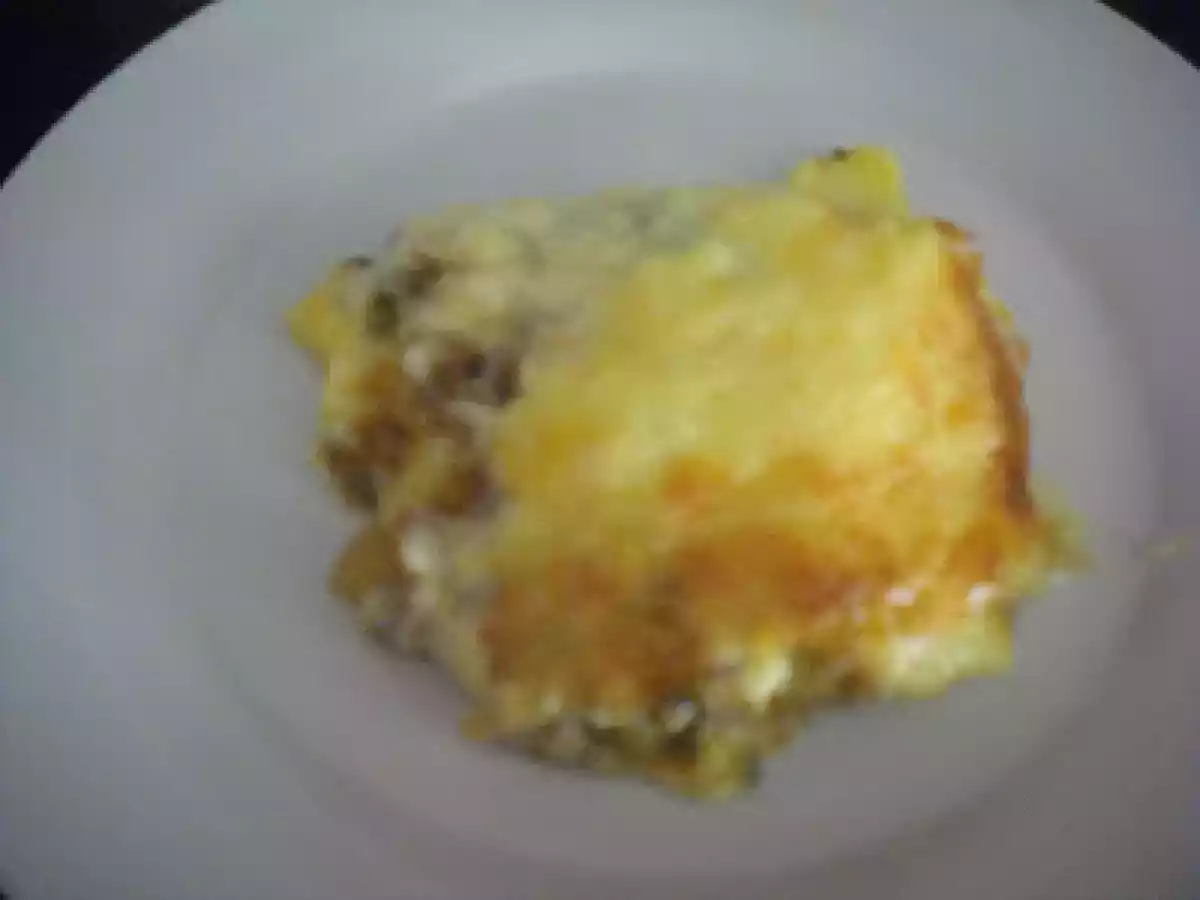 GRATEN DE PATATAS Y CARNE PICADA - foto 7