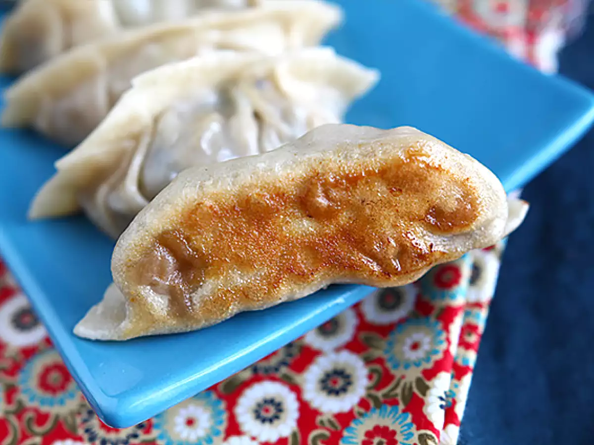 Gyozas de pollo, zanahoria y champiñones - foto 8