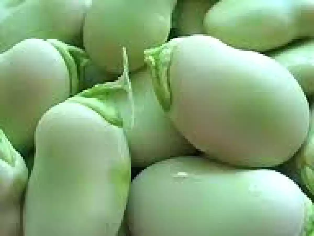 Hamburguesa con harina de habas - foto 10