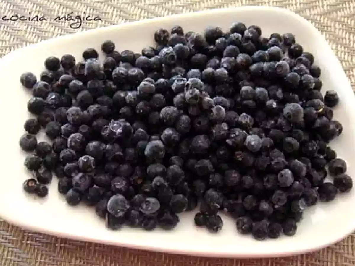 HELADO DE ARANDANOS - foto 2