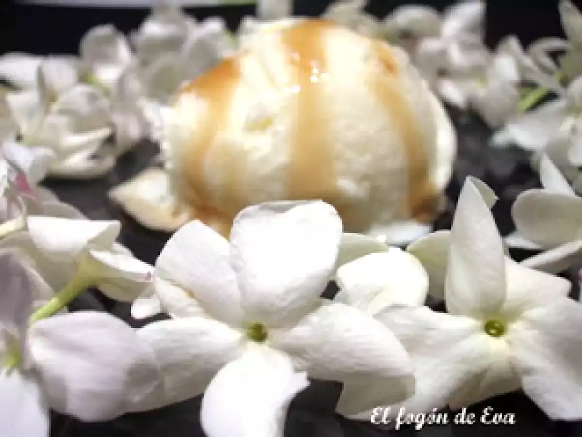 HELADO DE JAZMIN CON JARABE DE VINO DULCE DE MALAGA - foto 2