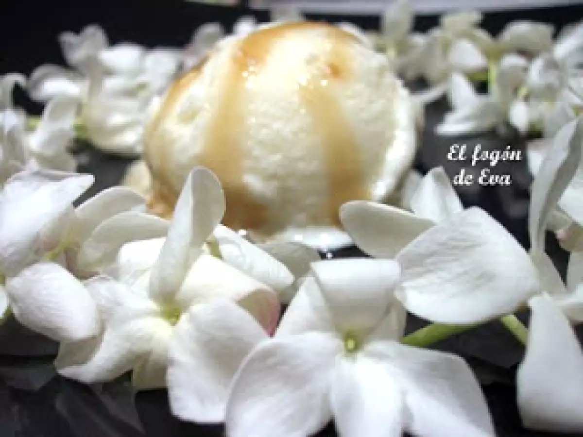 HELADO DE JAZMIN CON JARABE DE VINO DULCE DE MALAGA - foto 4