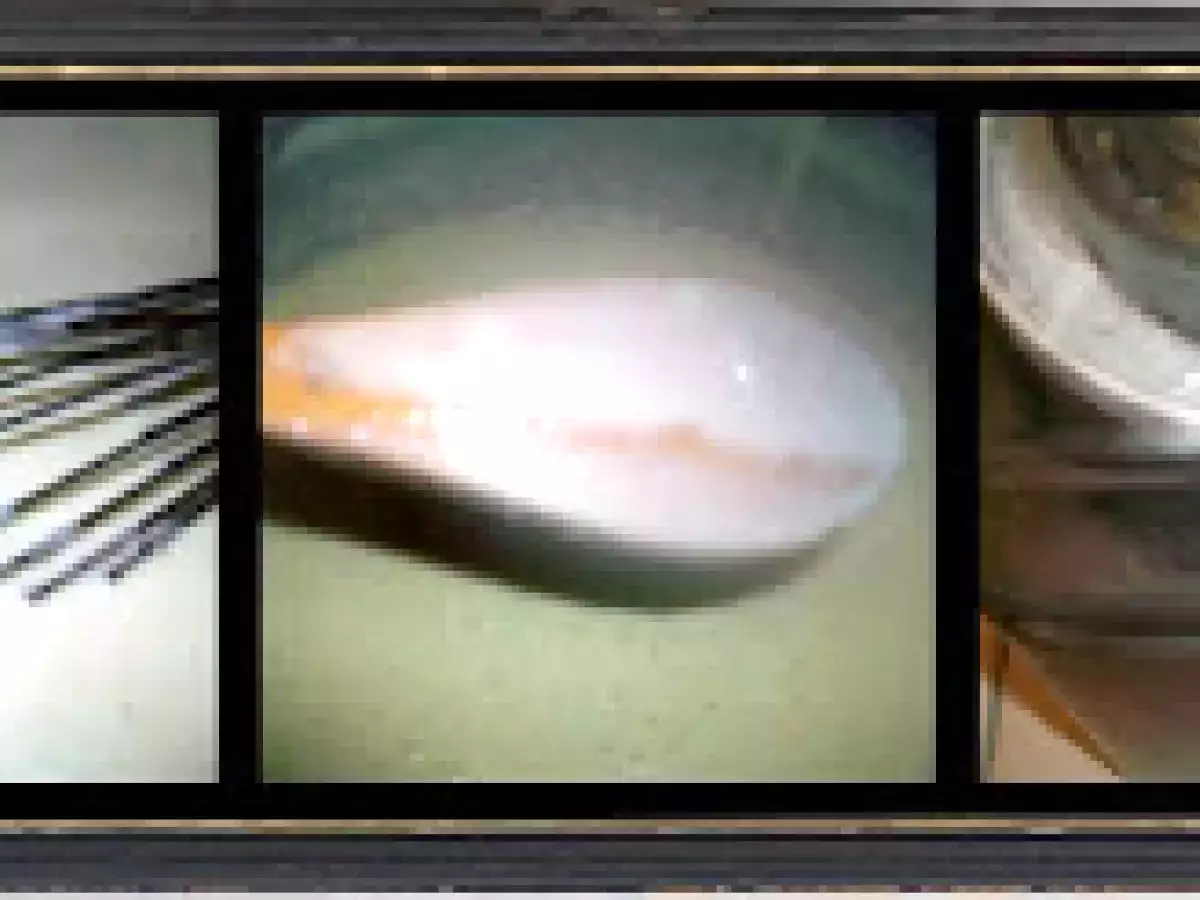 Helado de Vainilla y Almendra - foto 3