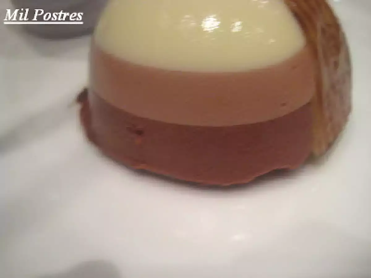 Hemc 47: Gelatinas. Semiesferas de tres chocolates - foto 2