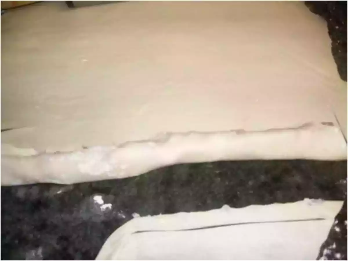 HOJALDRE RELLENO DE PATÉ - foto 4