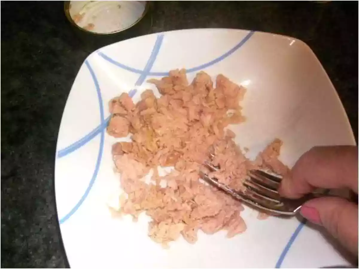 HOJALDRES DE ATUN CON TOMATE - foto 2