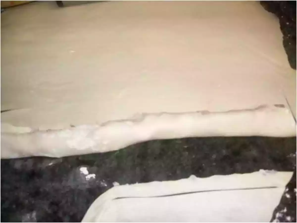 HOJALDRES DE ATUN CON TOMATE - foto 5