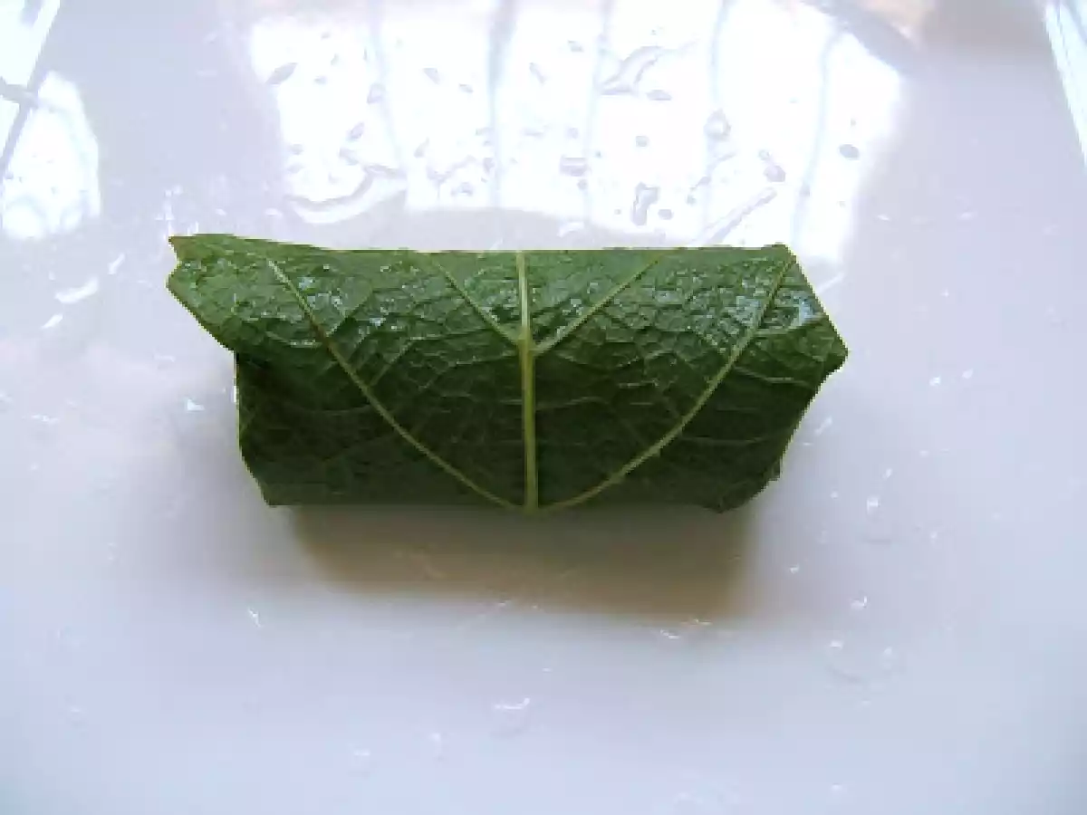 HOJAS DE PARRA RELLENAS - STUFFED GRAPE VINE LEAVES (DOLMAS) - foto 4
