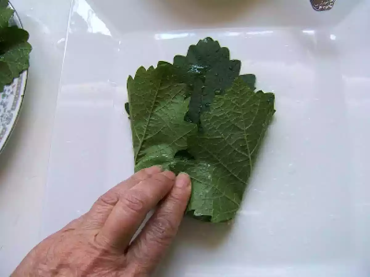 HOJAS DE PARRA RELLENAS - STUFFED GRAPE VINE LEAVES (DOLMAS) - foto 5