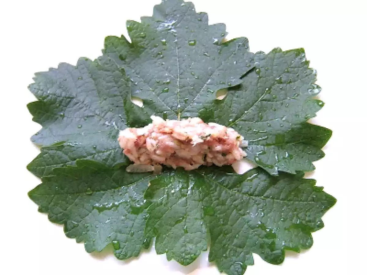 HOJAS DE PARRA RELLENAS - STUFFED GRAPE VINE LEAVES (DOLMAS) - foto 7