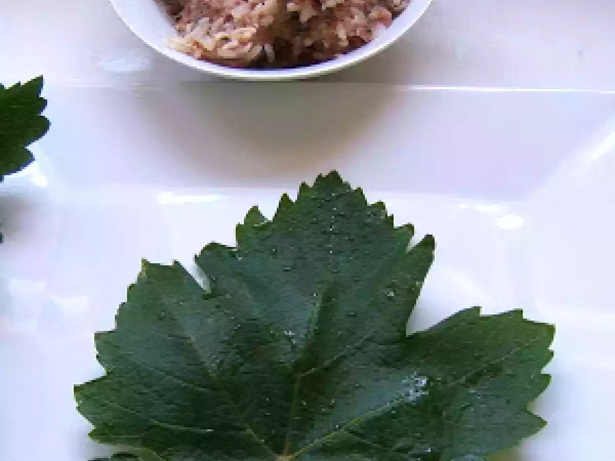 HOJAS DE PARRA RELLENAS - STUFFED GRAPE VINE LEAVES (DOLMAS) - foto 8