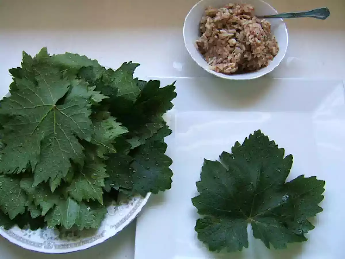 HOJAS DE PARRA RELLENAS - STUFFED GRAPE VINE LEAVES (DOLMAS) - foto 9