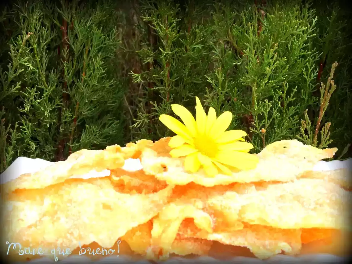 Hojuelas de tomelloso