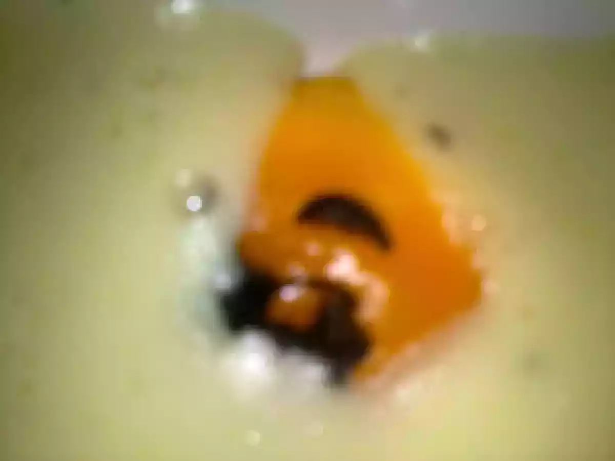 HOMENAJE A SANTI SANTAMARIA. CREMA DE PATATAS, BACALAO Y TRUFA. - foto 2