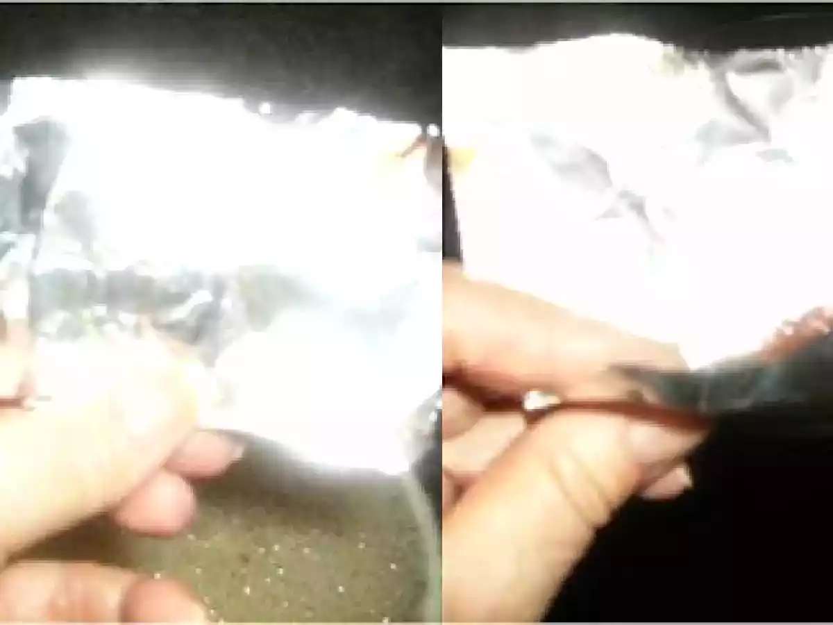 HUEVOS DUROS EN SALSA - foto 7