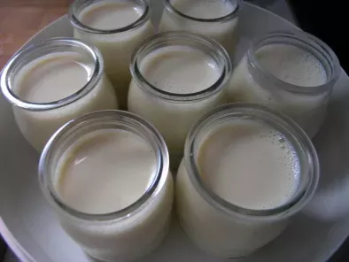 Iogurts de soja, una opció saludable i fàcil de fer a casa