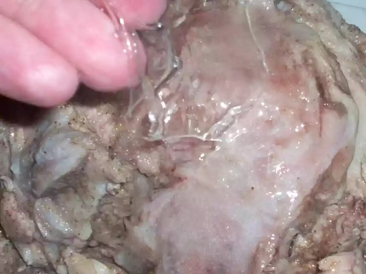 Jamon en dulce - foto 12