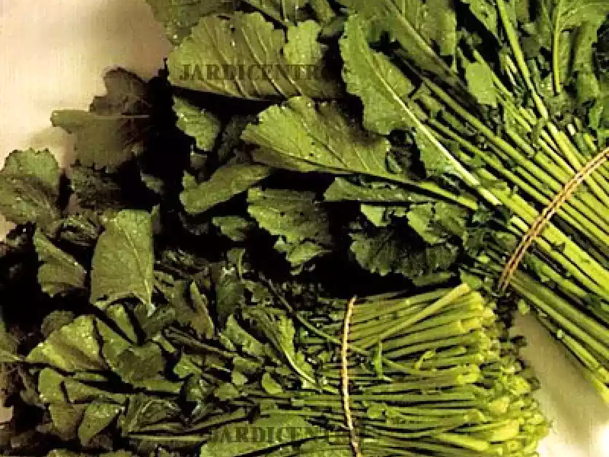 Judías blancas con toques gallegos - foto 4