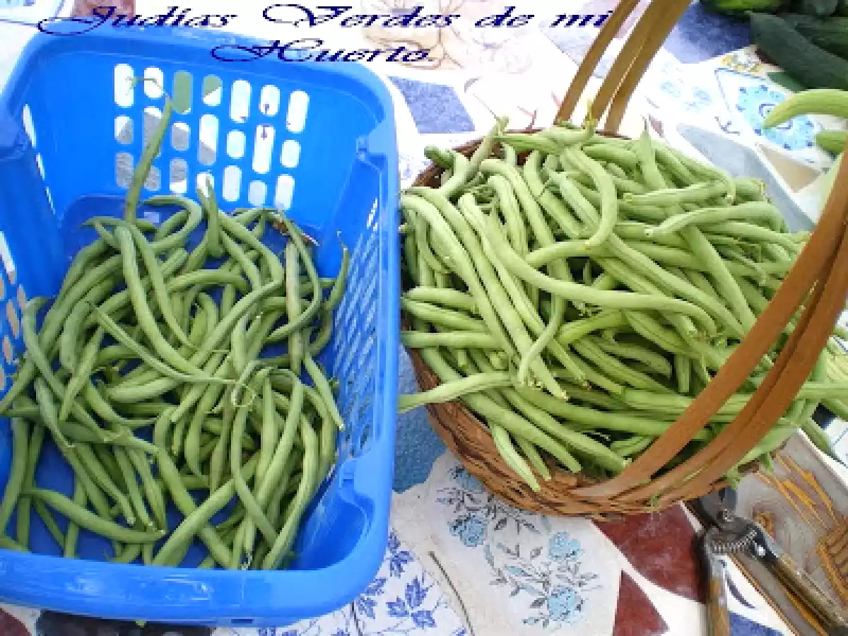 JUDÍAS VERDES EN CONSERVA.