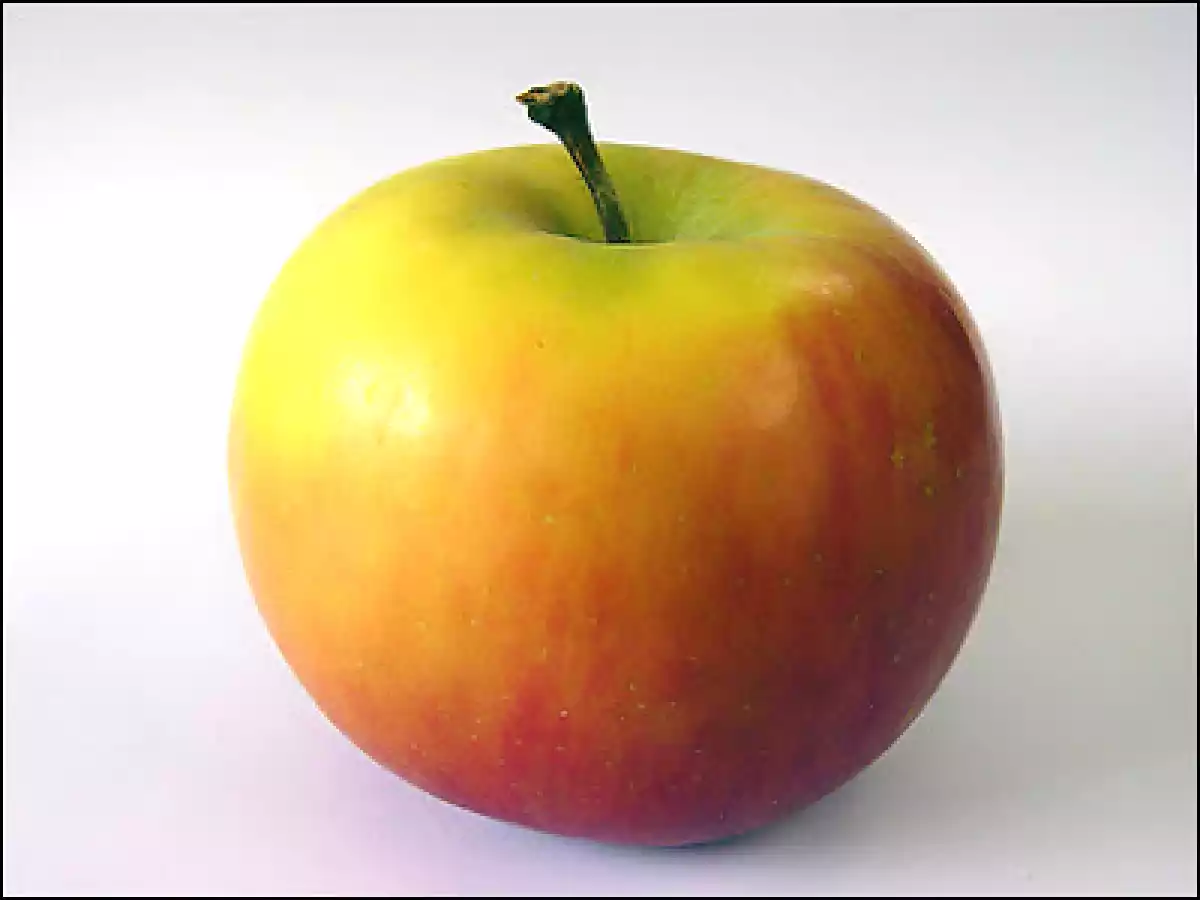 Jugo paar la Digestión de Manzana, Piña y Papaya