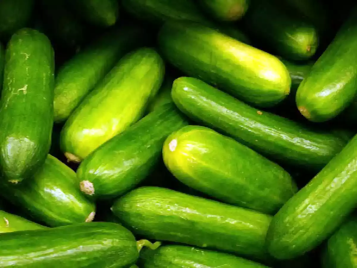 Jugo para Curar el Estreñimiento de Espinacas y Pepino