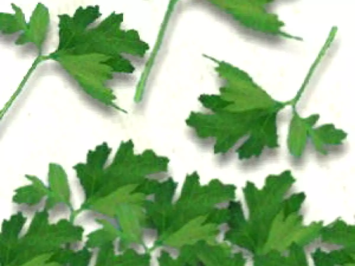 Jugo para Curar la Taquicardia de Zanahoria y Perejil