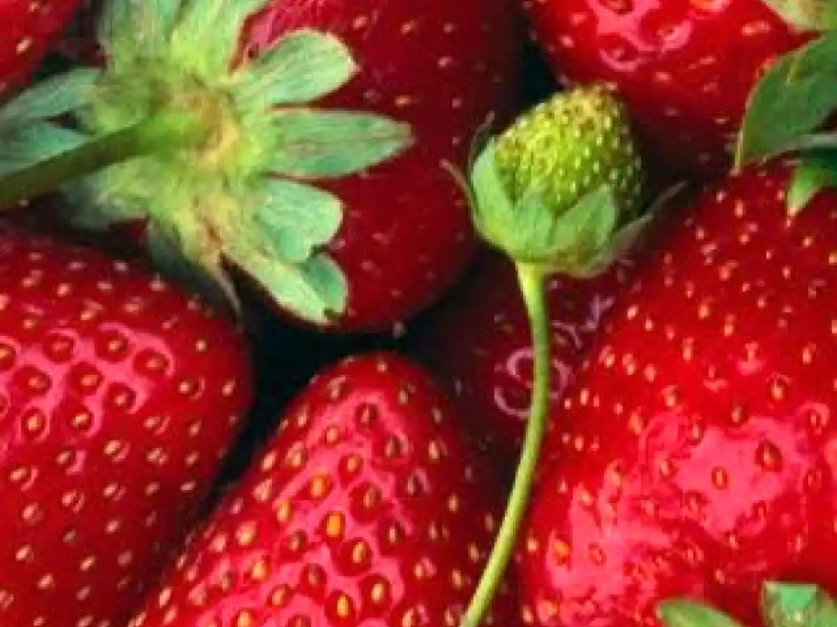 Jugo para quitar las Várices de Fresa, Toronja y Miel