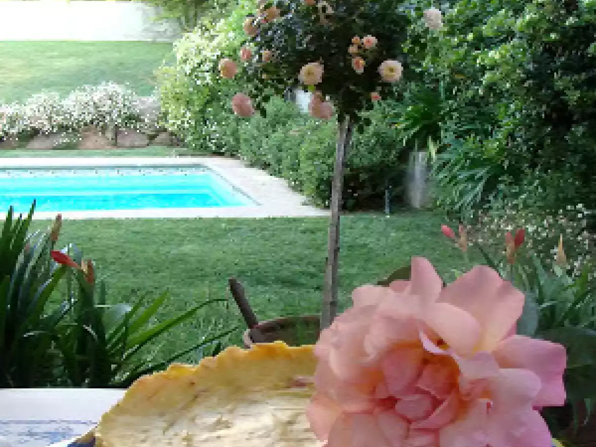 KUCHEN ALEMAN DE FRUTILLAS O FRAMBUESAS Y DURAZNOS.. - foto 14