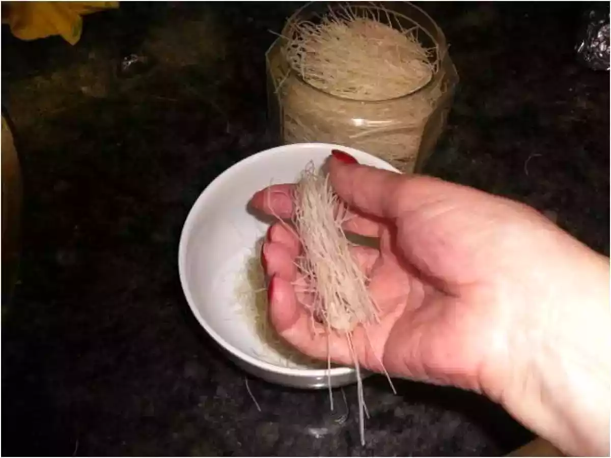 LANGOSTINOS EMPANADOS CON FIDEOS DE ARROZ - foto 2