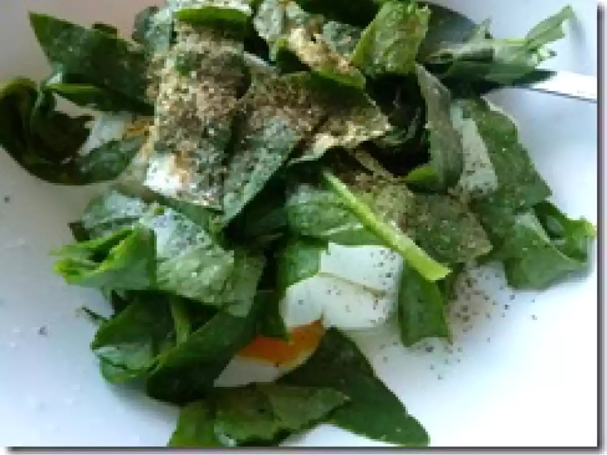 Lasagna de queso ricota y espinaca - foto 3