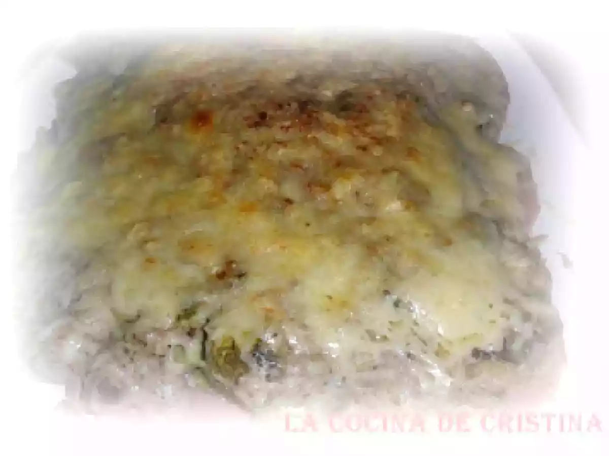 LASAÑA DE BROCOLIS Y JAMON YORK - foto 2