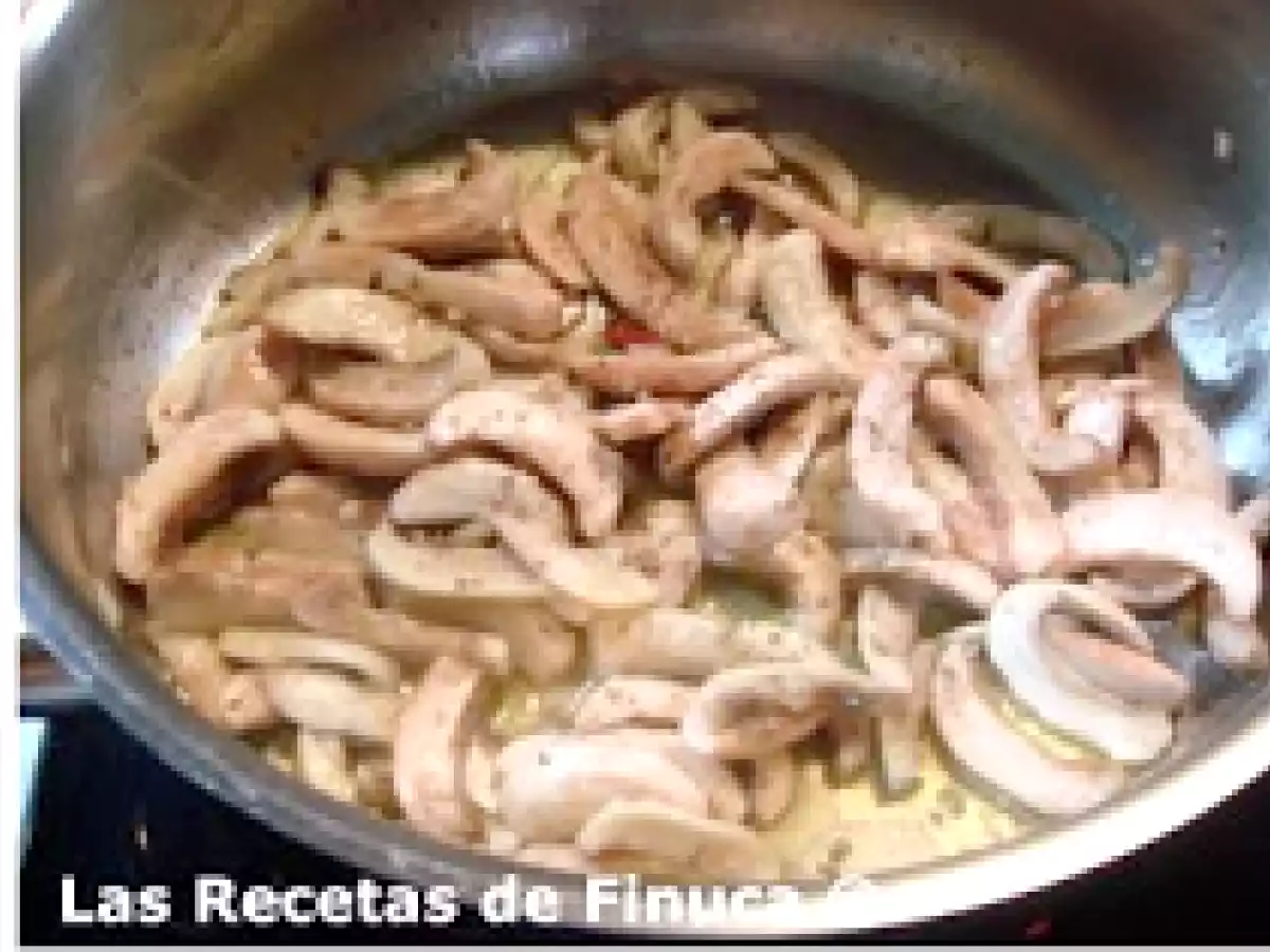 Lasaña de calabacín y champiñón - foto 7