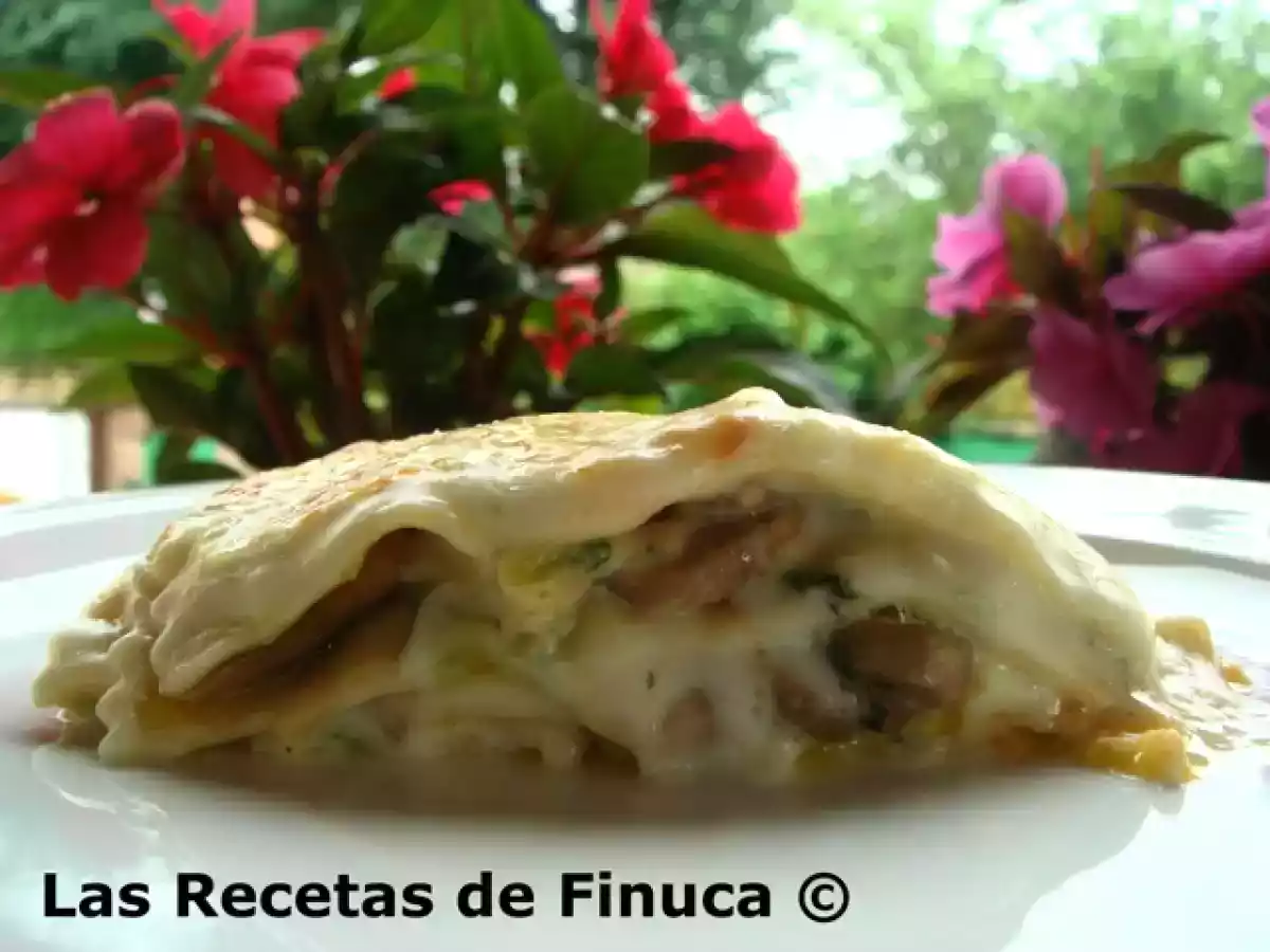 Lasaña de calabacín y champiñón - foto 8