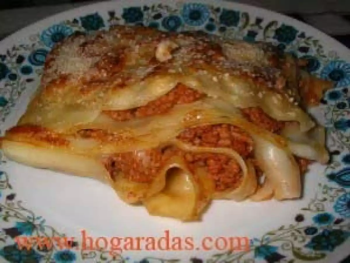 Lasaña de carne