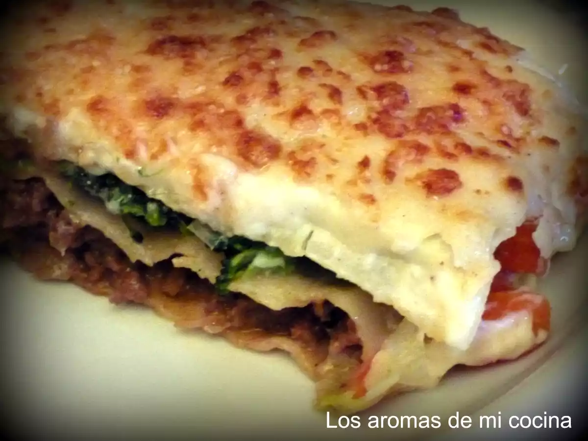 Lasaña rápida de verdura y carne