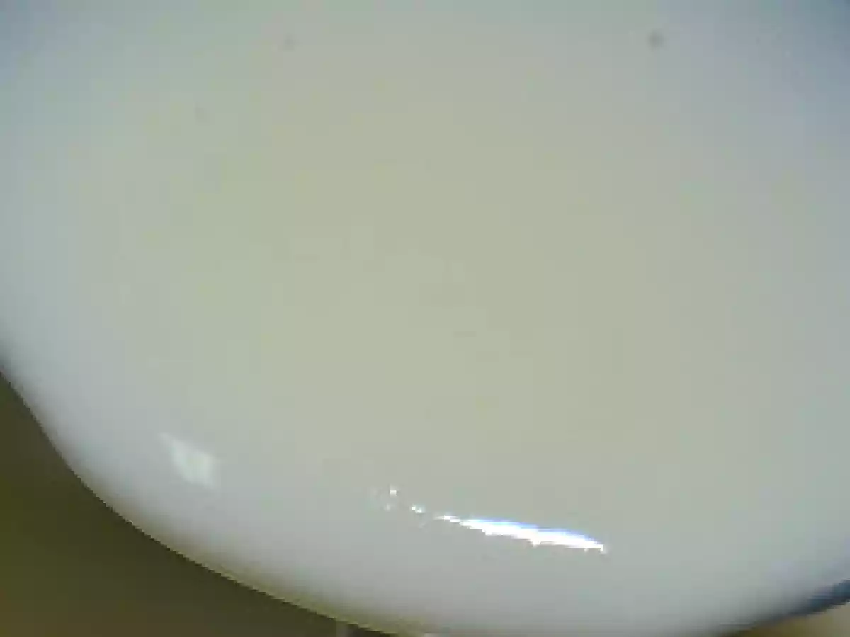 Leche Condensada Casera - foto 2