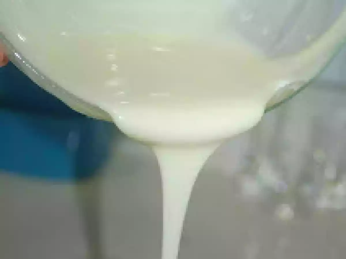 LECHE CONDENSADA CASERA (a la vainilla) Y BIZCOCHO - foto 2