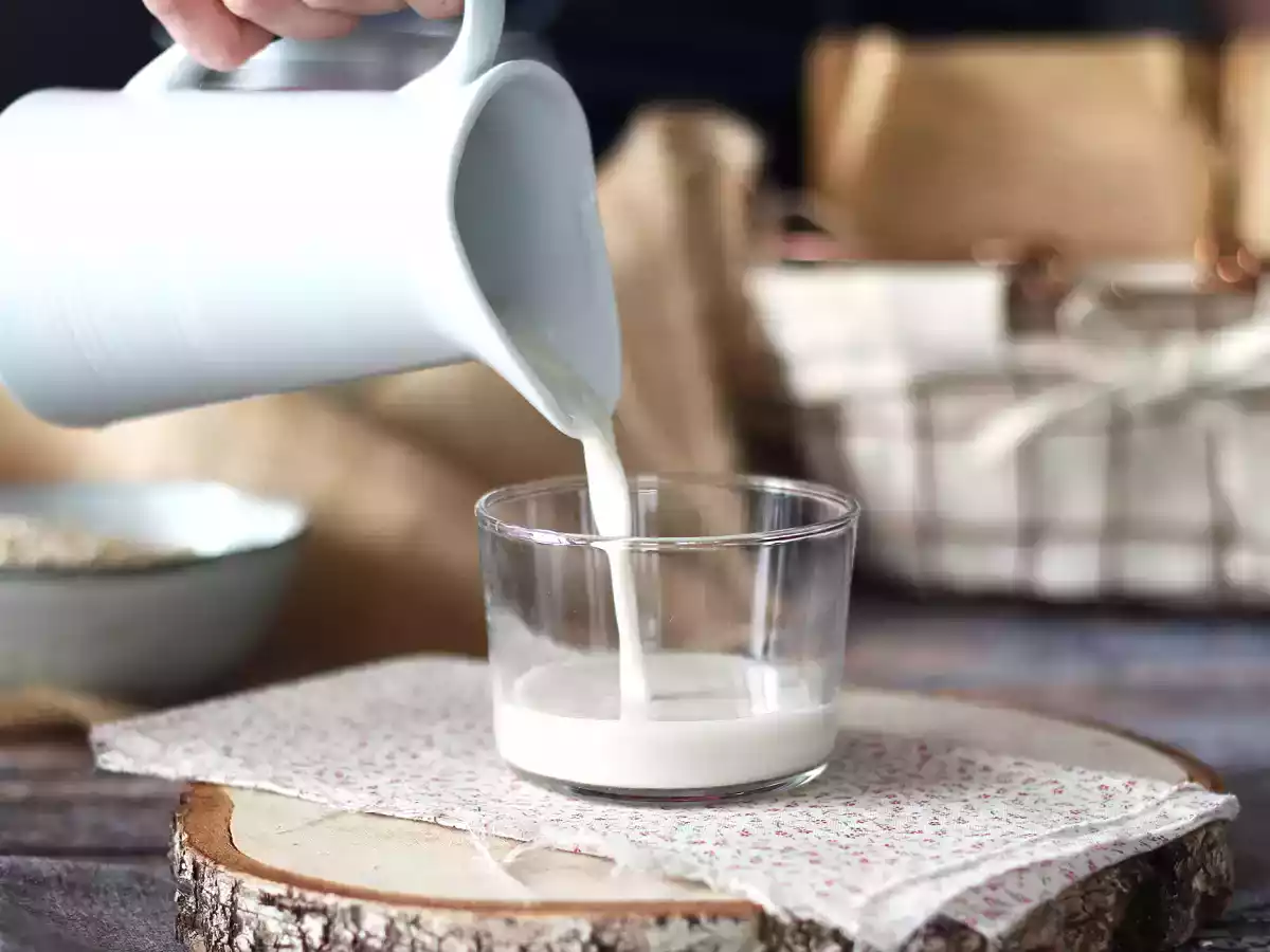 Leche de avena casera, fácil, rápida y barata - foto 2