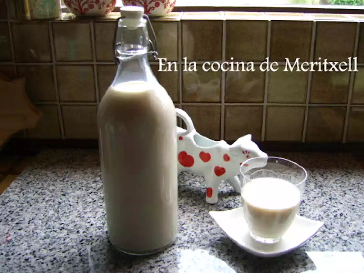 Leche de soja hecha en casa