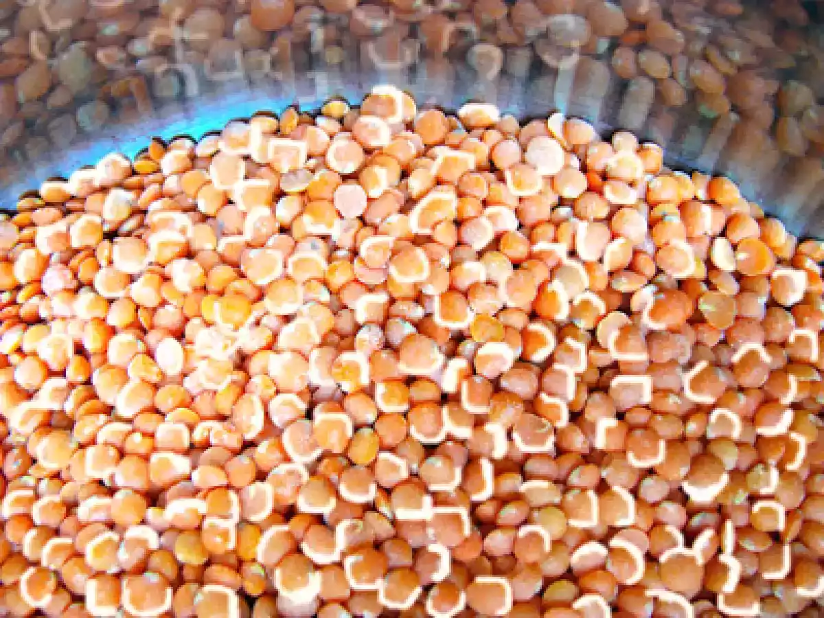 Lentejas rellenas de pescado y marisco